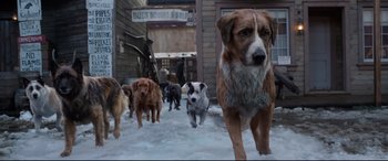 Movie still from “The Call of the Wild” (2020), directed by Chris Sanders – A group of dogs walking down a snowy street; Wide shot, Low angle
