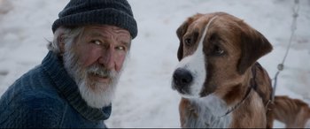Movie still from “The Call of the Wild” (2020), directed by Chris Sanders – An old man and a dog in the snow; Close Up shot, Low angle