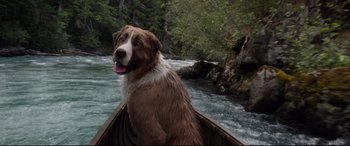 Movie still from “The Call of the Wild” (2020), directed by Chris Sanders – A brown and white dog sitting in a boat on a body of water; Wide shot, High angle