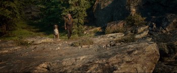A man and a dog walking on a path in the woods