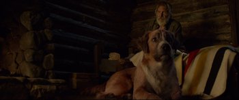 Movie still from “The Call of the Wild” (2020), directed by Chris Sanders – A man and a dog sitting in a cabin; Medium shot, Low angle