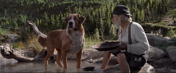 Movie still from “The Call of the Wild” (2020), directed by Chris Sanders – An old man sitting in the water next to a brown and white dog; Wide shot, Low angle