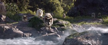 Movie still from “The Call of the Wild” (2020), directed by Chris Sanders – A group of animals sitting on top of a rock; Wide shot, Low angle