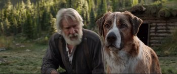 Movie still from “The Call of the Wild” (2020), directed by Chris Sanders – An old man and a dog in the woods; Close Up shot, Low angle