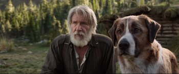Movie still from “The Call of the Wild” (2020), directed by Chris Sanders – An older man with a beard is standing next to a brown and white dog; Close Up shot, Low angle