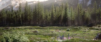Movie still from “The Call of the Wild” (2020), directed by Chris Sanders – A field with trees and flowers in the background; Extreme Wide shot, High angle