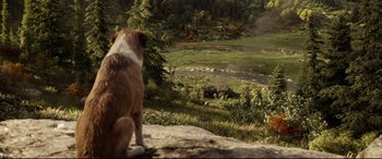 Movie still from “The Call of the Wild” (2020), directed by Chris Sanders – A brown and white dog standing on top of a hill; Wide shot, High angle