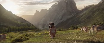 Movie still from “The Call of the Wild” (2020), directed by Chris Sanders – A brown and white dog standing on top of a grass covered field; Wide shot, Low angle