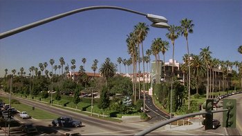 Movie still from “California Suite” (1978), directed by Herbert Ross – A view of palm trees from a car window; Extreme Wide shot, High angle