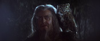Movie still from “Camelot” (1967), directed by Joshua Logan – An owl sitting on the shoulder of an older man; Close Up shot, Low angle