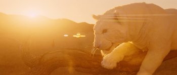 Movie still from “Casa de mi Padre” (2012), directed by Matt Piedmont – A white tiger laying on top of a tree branch; Wide shot, Low angle