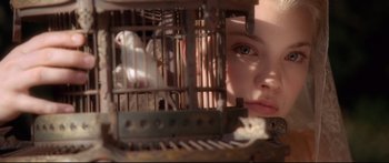 Movie still from “Casanova” (2005), directed by Lasse Hallström – A young child looking through the bars of a bird cage; Close Up shot, Low angle
