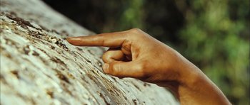 Movie still from “Castaway on the Moon” (2009), directed by Lee Hae-jun – A hand is pointing to the right on a tree; Extreme Close Up shot, Low angle