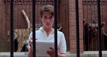 Movie still from “Cat People” (1982), directed by Paul Schrader – A woman holding a book in front of a brick wall; Medium shot, Low angle