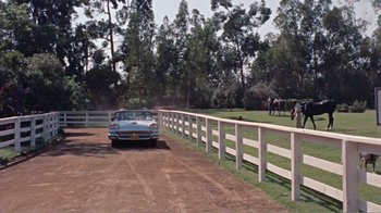 Movie still from “Cat on a Hot Tin Roof” (1958), directed by Richard Brooks – A car driving down a dirt road near a fence; Extreme Wide shot, High angle