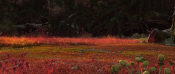 Movie still from “The Croods” (2013), directed by Chris Sanders – Extreme Wide shot, High angle