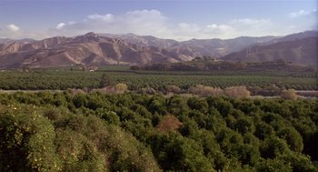 Movie still from “Chaplin” (1992), directed by Richard Attenborough – An aerial view of an orchard and mountains in the distance; Extreme Wide shot, High angle
