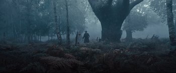 Movie still from “Christopher Robin” (2018), directed by Marc Forster – A man standing in the middle of a forest; Extreme Wide shot, Low angle