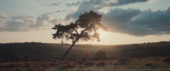 Movie still from “Christopher Robin” (2018), directed by Marc Forster – A tree with a red balloon in the middle of a field; Extreme Wide shot, Low angle