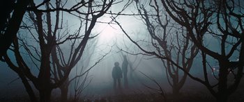 Movie still from “The Day the Earth Stood Still” (2008), directed by Scott Derrickson – Two people standing in the middle of a foggy forest; Wide shot, Low angle