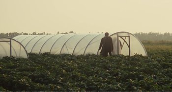 Movie still from “City of Women” (1980), directed by Federico Fellini – A man standing in front of a greenhouse in a field; Extreme Wide shot, Over the shoulder angle