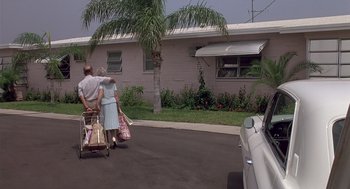 Movie still from “Cocoon” (1985), directed by Ron Howard – A man and a woman pushing a cart down a street; Wide shot, Low angle