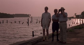 Movie still from “Cocoon” (1985), directed by Ron Howard – A group of people standing next to a body of water; Wide shot, Low angle