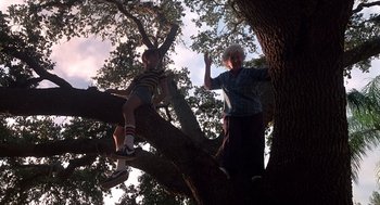 Movie still from “Cocoon” (1985), directed by Ron Howard – An older woman and a young boy climbing a tree; Wide shot, Low angle
