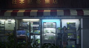Movie still from “Cold Fish” (2010), directed by Sion Sono – A woman standing in front of an aquarium store; Wide shot, Low angle