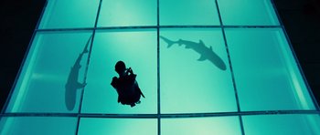 Movie still from “Colombiana” (2011), directed by Olivier Megaton – A shadow of a shark on the floor of a swimming pool; Extreme Wide shot, Overhead angle