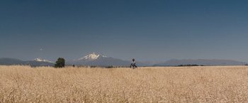 Movie still from “Colonia” (2015), directed by Florian Gallenberger – A person sitting in the middle of an open field; Extreme Wide shot, Low angle