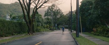 Movie still from “The Descendants” (2011), directed by Alexander Payne – A person running down a street near trees; Extreme Wide shot, High angle