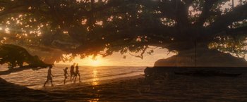 Movie still from “The Descendants” (2011), directed by Alexander Payne – Two people walking on the beach under a tree at sunset; Extreme Wide shot, High angle
