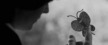 Movie still from “Control” (2007), directed by Anton Corbijn – A person looking at a leaf with water droplets on it; Extreme Close Up shot, Low angle