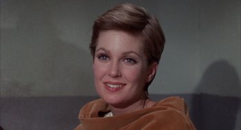 Movie still from “Coogan's Bluff” (1968), directed by Don Siegel – A person with short brown hair; Close Up shot, Low angle