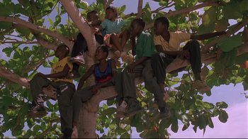 Movie still from “Cool Runnings” (1993), directed by Jon Turteltaub – A group of kids sitting on a tree branch; Wide shot, Low angle