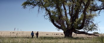 Movie still from “Cop Car” (2015), directed by Jon Watts – Two people standing under a large tree in a field; Extreme Wide shot, Low angle