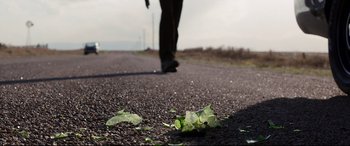 Movie still from “Cop Car” (2015), directed by Jon Watts – A person walking down a road with a leaf on the ground; Extreme Close Up shot, Low angle