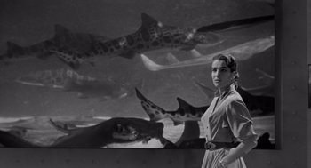 Movie still from “Creature from the Black Lagoon” (1954), directed by Jack Arnold – A black and white photo of a woman standing in front of some sharks; Medium shot, Low angle