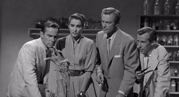 Movie still from “Creature from the Black Lagoon” (1954), directed by Jack Arnold – A black and white photo of a group of men and a woman; Medium shot, High angle