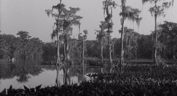 Movie still from “Creature from the Black Lagoon” (1954), directed by Jack Arnold – A black - and - white photo of trees and a body of water; Extreme Wide shot, Low angle