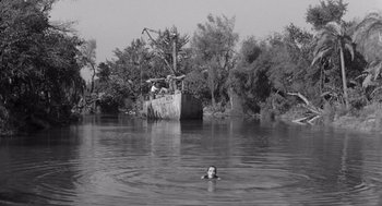 Movie still from “Creature from the Black Lagoon” (1954), directed by Jack Arnold – A woman swimming in a body of water near a boat; Extreme Wide shot, High angle