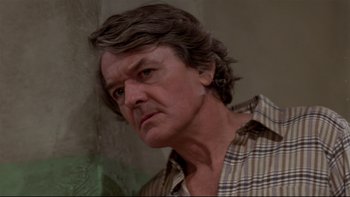 Movie still from “Creepshow” (1982), directed by George A. Romero – A person wearing a plaid shirt; Close Up shot, Low angle