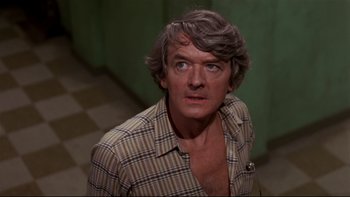 Movie still from “Creepshow” (1982), directed by George A. Romero – A person wearing a plaid shirt; Close Up shot, Low angle