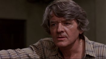 Movie still from “Creepshow” (1982), directed by George A. Romero – A person wearing a plaid shirt; Close Up shot, Over the shoulder angle