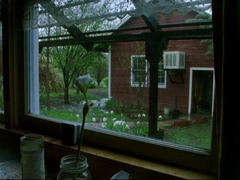 A view of a house through a window