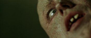 Movie still from “The Hills Have Eyes” (2006), directed by Alexandre Aja – A person's eye with a green background; Extreme Close Up shot, Overhead angle