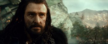 Movie still from “The Hobbit: An Unexpected Journey” (2012), directed by Peter Jackson – A person with a beard; Close Up shot, Low angle