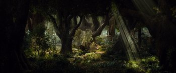 Movie still from “The Hobbit: An Unexpected Journey” (2012), directed by Peter Jackson – A forest filled with lots of trees and plants; Extreme Wide shot, High angle