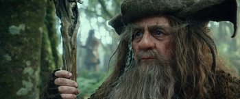Movie still from “The Hobbit: An Unexpected Journey” (2012), directed by Peter Jackson – A man with a long beard holding a wooden stick; Close Up shot, Low angle